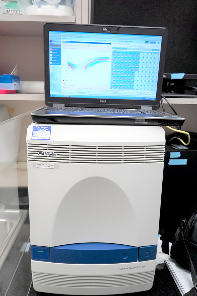 HSA introduces local testing for COVID19