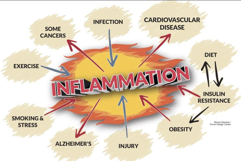 INFLAMMATION inflammation