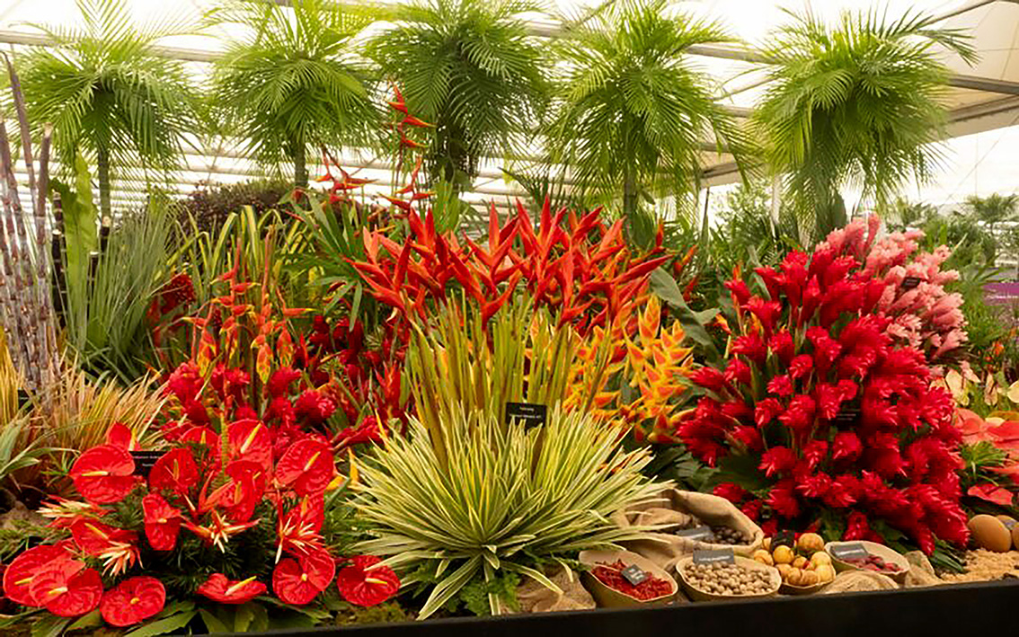 Grenada blooms again at the Chelsea Flower Show