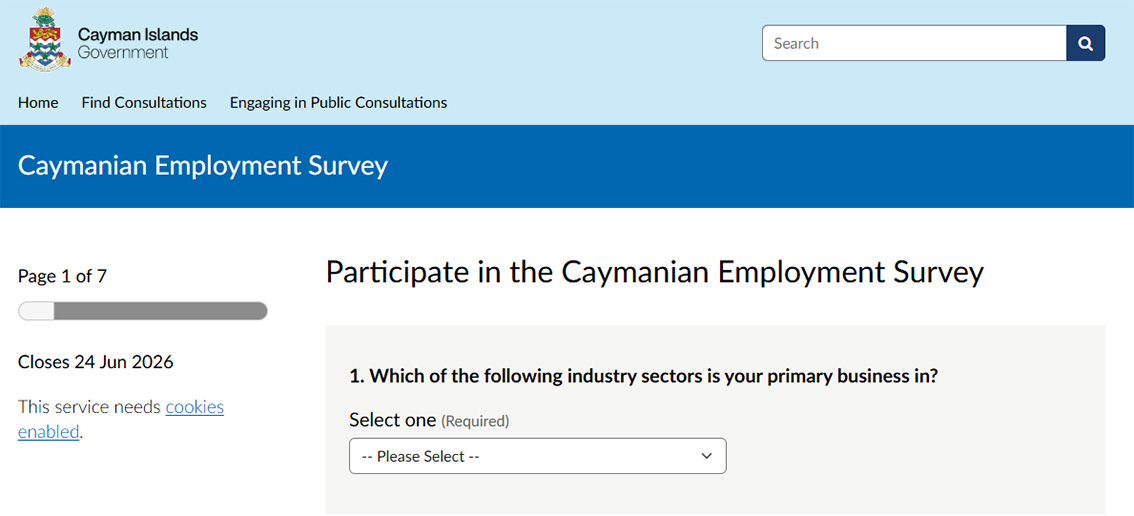 National Workforce Development Committee Launches Caymanian Employment Survey