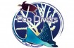 Non-Profit: Eco Divers Reef Foundation