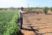 2019 Top Stories: East End’s sweet potato king
