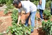 Alden’s Farm Tour