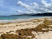 Grenada tackles stinky weed