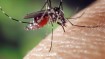 MRCU Issues Mosquito Advisory Ahead of Easter Weekend