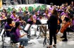 Cayman Arts Festival Junior Orchestra performs debut concert