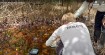 MRCU Teams Tackle Another Mosquito Surge