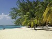 Saving Seven Mile Beach: Between Sand and Sea