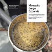 Mosquito Surge Expands Across Grand Cayman