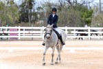 Cayman Islands Equestrians compete Internationally