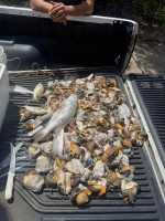 Men Arrested for Poaching