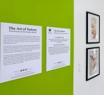 Nature in the art spotlight