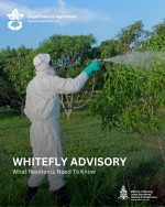 Department of Agriculture : What Residents Need To Know About Whitefly