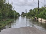 Seasonal Increase in Mosquito Activity Expected Across Grand Cayman