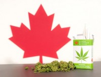 Canada’s cannabis tourism not high