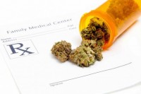 Barbados allows cannabis dealers