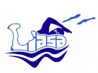 Non-Profit: CI Aquatic Sports Assoc.