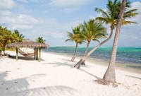 EDITORIAL. Little Cayman: From the eyes of visitors