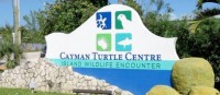 EDITORIAL: Protecting our turtles