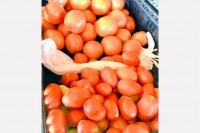 Making use of nature’s bounty