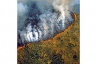 BOLSONARO DITHERS WHILE THE AMAZON BURNS