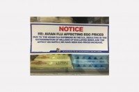 Egg Prices Increase