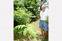 A walk around Kem Jackson’s garden