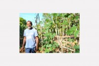 Buy Local Grow Local: Farmers leading the way