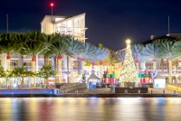 Camana Bay is the home of the holidays this festive season