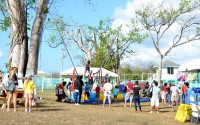 Agriculture – the mainstay of Cayman