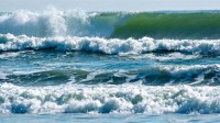 DoE Requests Photos of Upcoming King Tides for Climate Science