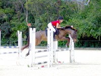 Double Wins for Ziemniak and Alberga at National Jumping Series Show