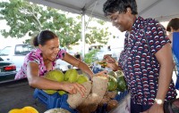 Agriculture – a modern day industry