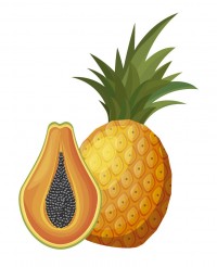 ENHANCING DIGESTION