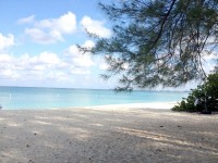 Editorial: Stay-Cation in Paradise. Exploring Cayman’s Tourist Attractions