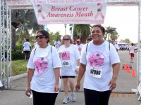 Community Notice: Lions Club of Tropical Gardens Step Challenge