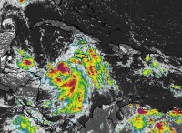 Panic Buying as TS Delta approaches