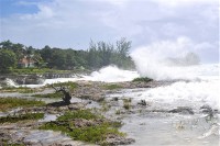 CAYMAN DODGES DELTA