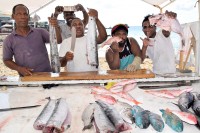 “We’re back and we’re here to stay,” say GT fishermen