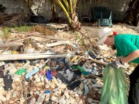 Huge yield from East-West clean up