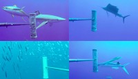MAJOR GLOBAL ECOSYSTEM PROJECT LAUNCHED IN TERRITORIES