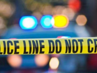 Single Vehicle Collision on Shamrock Road