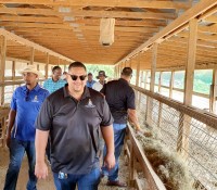 Government supports local farmers