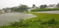 Hurricane Grace batters Cayman
