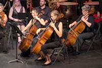 CAYMAN NATIONAL ORCHESTRA CALLS FOR NEW MUSICIANS CAYMAN NATIONAL ORCHESTRA CALLS FOR NEW MUSICIANS