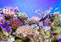 Government signs UK agreement to assess climate change risks