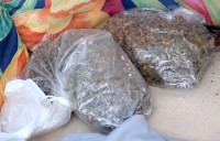 Five Persons Arrested Following West Bay Operation