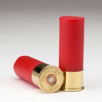 Shotgun Ammunition Recovered