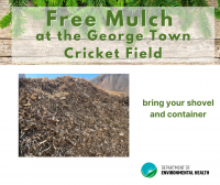 Free post-Christmas mulch available Free post-Christmas mulch available
