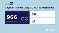 65 New COVID 19 cases reported for Tuesday